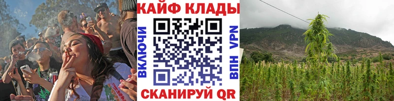 Виды наркотиков купить Берёзовка A-PVP  АМФ  ГАШ  МАРИХУАНА  Cocaine 